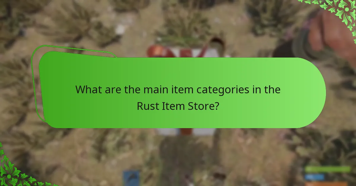 Which payment options are available in the Rust Item Store?