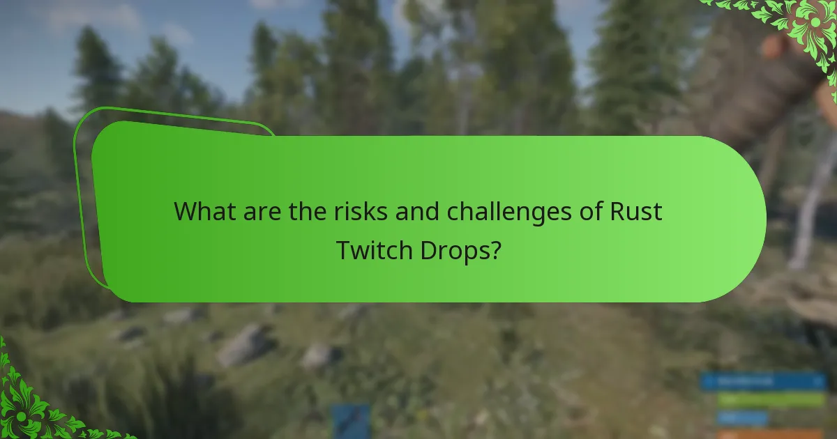 Which strategies can maximise participation in Rust Twitch Drops?